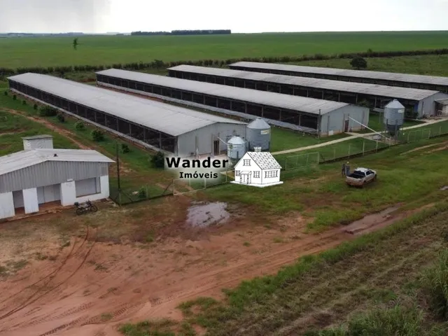 Imagem 5: FAZENDA RURAL em SÃO GABRIEL DO OESTE - MS, centro