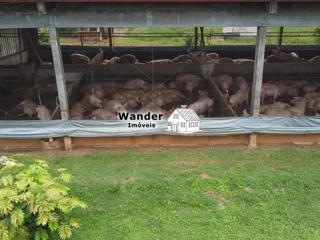 Imagem 11: FAZENDA RURAL em SÃO GABRIEL DO OESTE - MS, centro