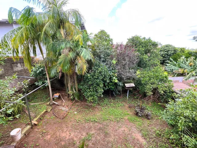 Imagem 5: Casa Plana com Terraço Gourmet