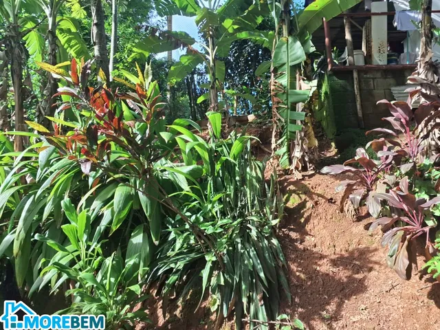 Imagem 7: CHÁCARA Á VENDA EM IPATINGA!!!