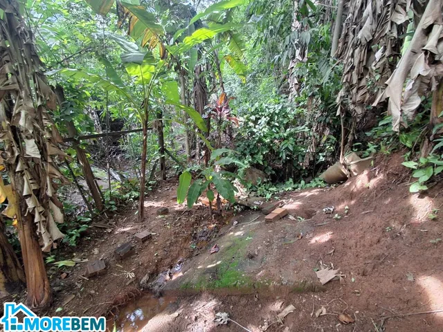 Imagem 10: CHÁCARA Á VENDA EM IPATINGA!!!