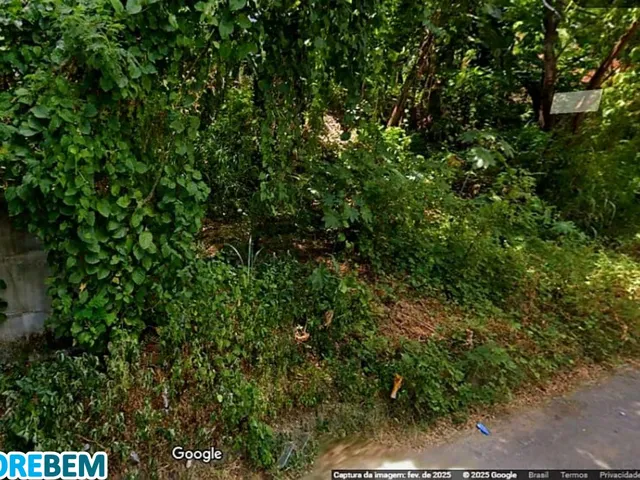 Imagem: LOTE Á VENDA CALADINHO DE BAIXO EM CORONEL