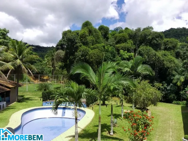 Imagem: Haras Rural em Belo Oriente - Mg, Bagre