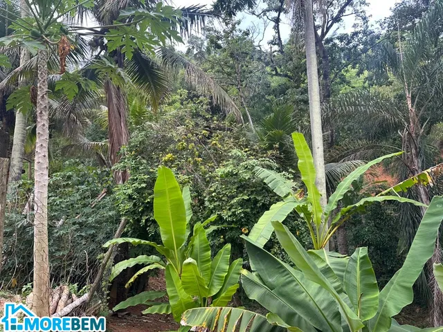 Imagem 4: SITIO RURAL em IPATINGA - MG, PEDRA BRANCA