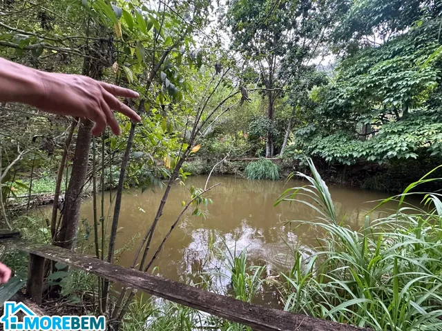 Imagem 10: SITIO RURAL em IPATINGA - MG, PEDRA BRANCA