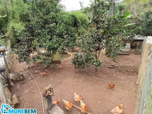 Imagem 5: CHACARA RURAL em IPATINGA - MG, IPANEMÃO