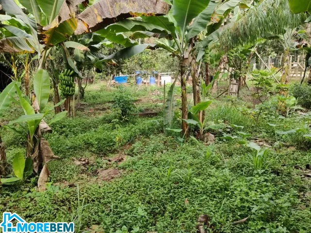 Imagem 8: CHACARA RURAL em IPATINGA - MG, IPANEMÃO