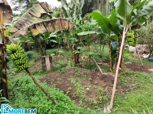 Imagem 11: CHACARA RURAL em IPATINGA - MG, IPANEMÃO