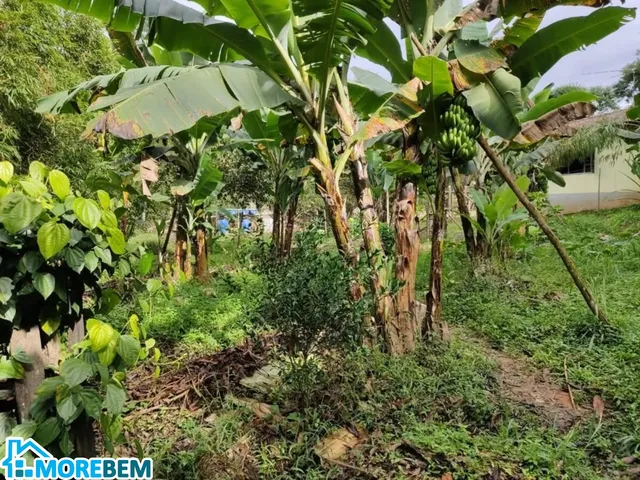 Imagem 14: CHACARA RURAL em IPATINGA - MG, IPANEMÃO