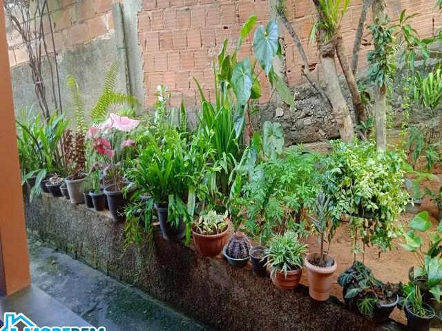 Imagem 3: CASA NO BAIRRO JARDIM PANORAMA COM APROXIMADAMENTE 160M², LOTE 575M²