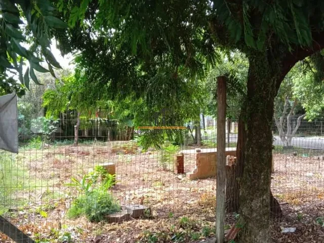 Imagem 4: Terreno localizado no bairro Fátima/Canoas