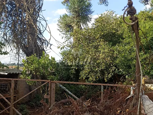 Imagem 13: Terreno à venda, Vila Marina Uvaranas, PONTA GROSSA - PR