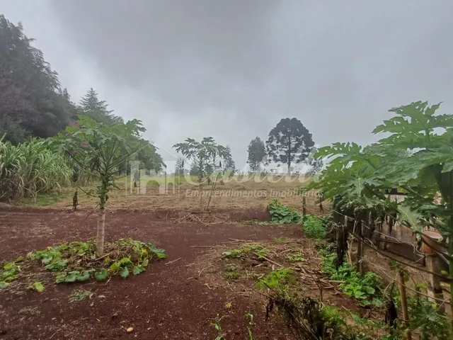 Imagem 6: Terreno à venda,5000.00 m , Chapada, PONTA GROSSA - PR