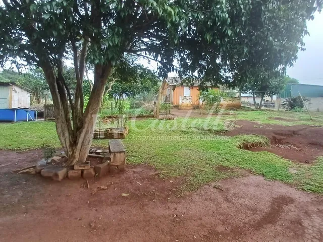 Imagem 12: Terreno à venda,5000.00 m , Chapada, PONTA GROSSA - PR