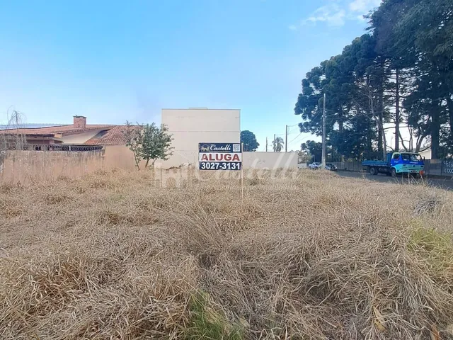 Imagem: Excelente Terreno para locação, Uvaranas