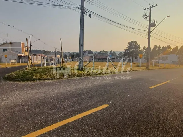 Imagem: Terreno à venda, Jardim Carvalho, PONTA