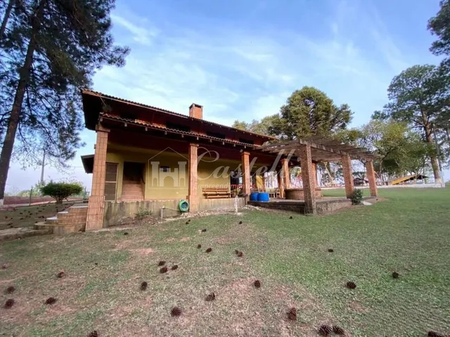 Imagem 3: Terreno Comercial à venda,19000.00 m , Cará Cará, PONTA GROSSA - PR