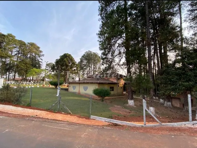 Imagem 15: Terreno Comercial à venda,19000.00 m , Cará Cará, PONTA GROSSA - PR