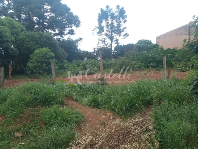 Imagem 2: Terreno à venda,495.00 m , Cara-Cara, PONTA GROSSA - PR