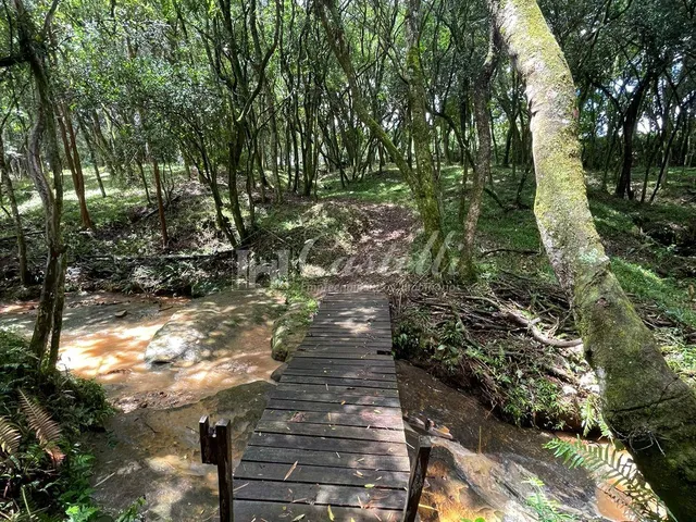 Imagem 7: Terreno à venda, Distrito de Guaragi, PONTA GROSSA - PR