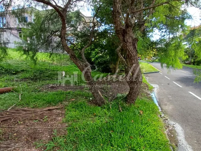 Imagem 9: Terreno à venda, Oficinas, PONTA GROSSA - PR