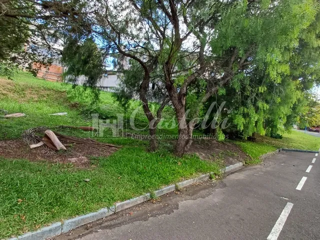 Imagem 15: Terreno à venda, Oficinas, PONTA GROSSA - PR