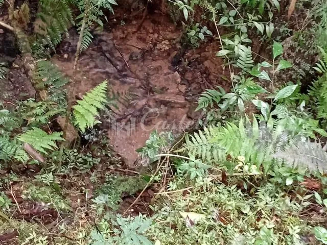 Imagem 9: Chácara à venda, distrito de Itaiacoca, barra preta PONTA GROSSA - PR
