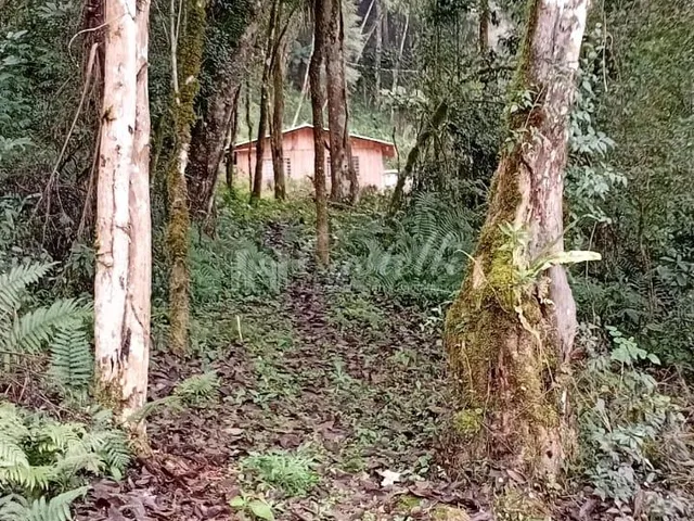 Imagem 15: Chácara à venda, distrito de Itaiacoca, barra preta PONTA GROSSA - PR