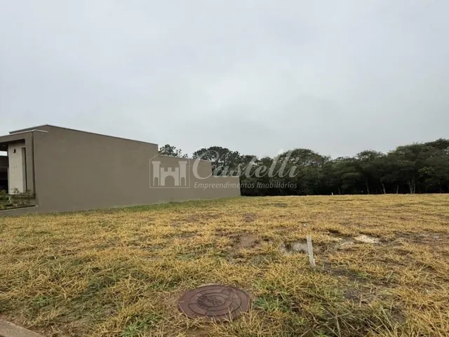 Imagem 3: Terreno à venda, Jardim Carvalho, PONTA GROSSA - PR