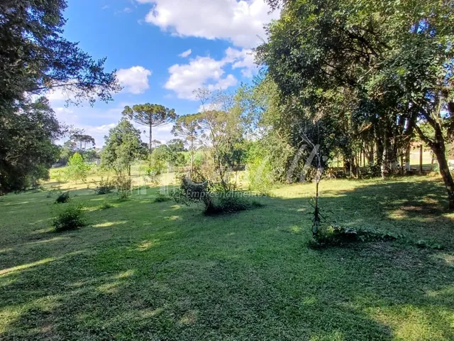 Imagem 9: Chácara à venda,5400.00 m , Bocaina, PONTA GROSSA - PR