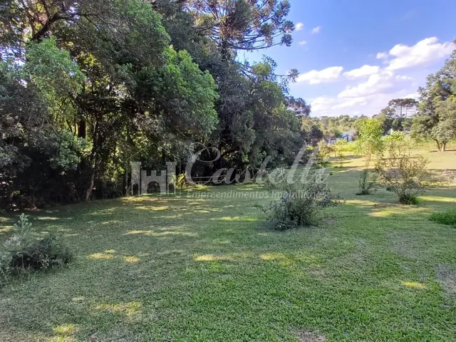 Imagem 12: Chácara à venda,5400.00 m , Bocaina, PONTA GROSSA - PR