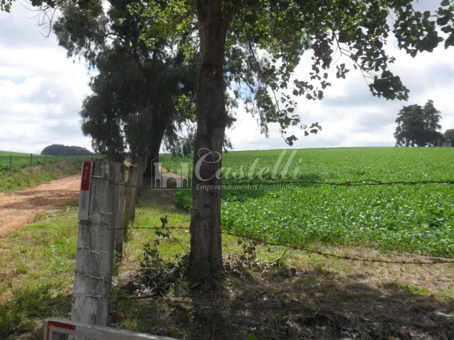 Imagem 6: Chácara à venda, Uvaranas, PONTA GROSSA - PR