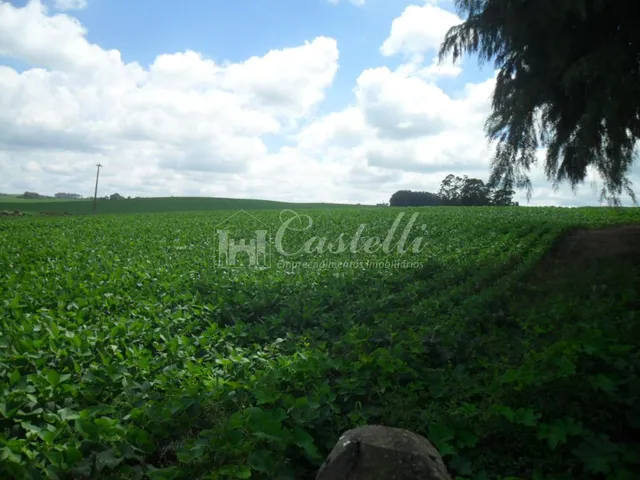 Imagem 15: Chácara à venda, Uvaranas, PONTA GROSSA - PR