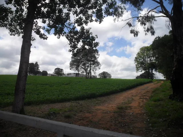 Imagem 5: Rural à venda, Uvaranas, PONTA GROSSA - PR