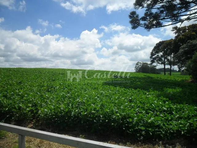 Imagem 11: Rural à venda, Uvaranas, PONTA GROSSA - PR