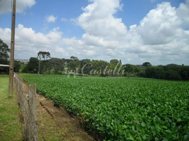 Imagem 14: Rural à venda, Uvaranas, PONTA GROSSA - PR