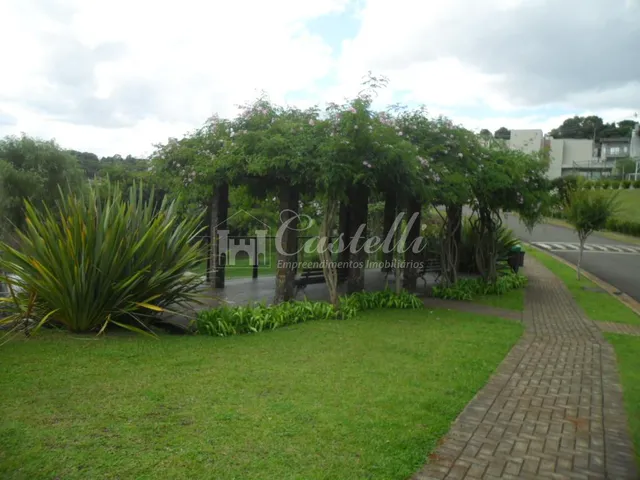 Imagem 11: Terreno à venda, Oficinas, PONTA GROSSA - PR