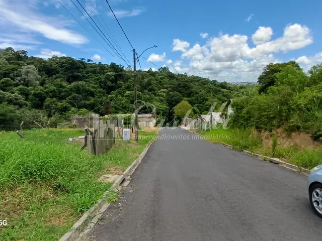 Imagem 3: Terreno à venda, Uvaranas, PONTA GROSSA - PR