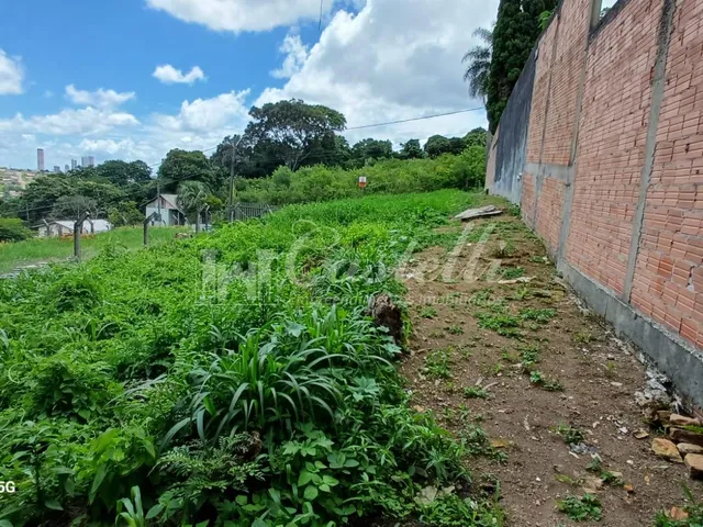 Imagem 6: Terreno à venda, Uvaranas, PONTA GROSSA - PR