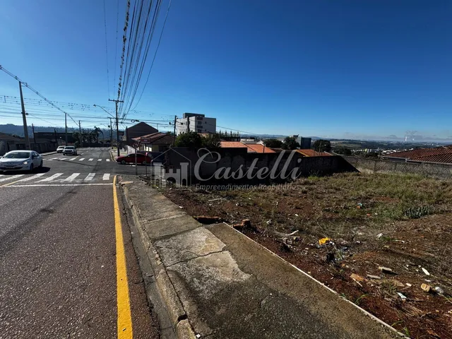 Imagem 3: Terreno para à venda, no Bairro Oficinas, em GROSSA - PR