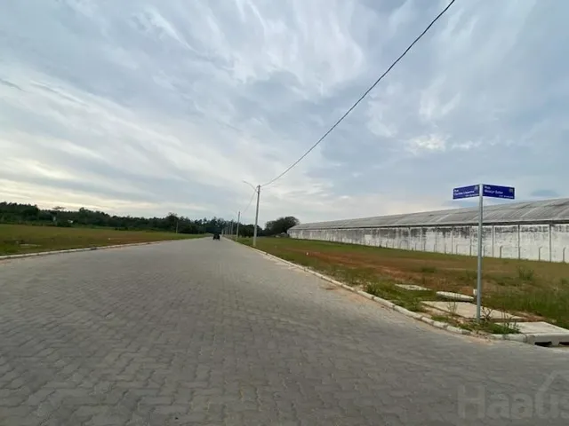 Imagem: Terreno a venda com ótimos preços, em