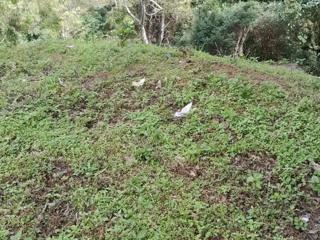 Imagem: Terreno Residencial em Poços de Caldas