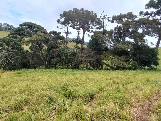Imagem: Terreno Rural em Andradas - Mg, Andradas