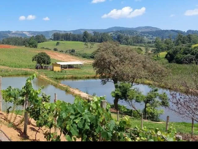 Imagem: SITIO RESIDENCIAL em SANTA RITA DE CALDAS