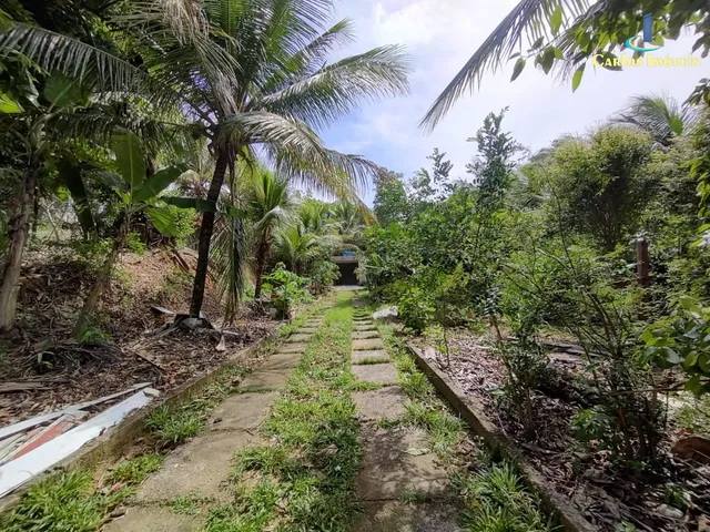 Imagem: Chácara de 1.000 M² com Casa em Amarelos