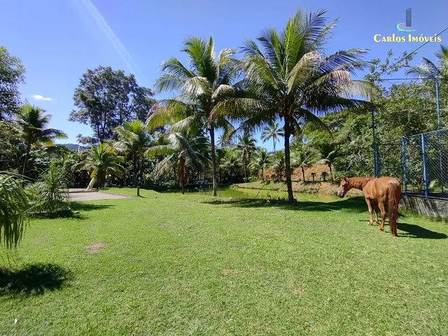 Imagem 5: Sítio com 8.000m² a Venda em Jaqueira - Anchieta/ES