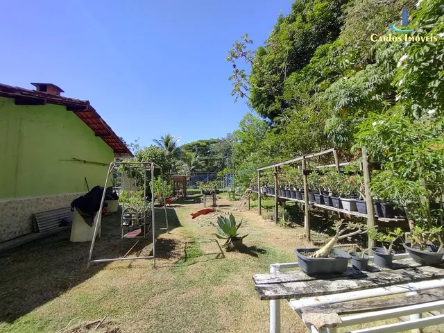 Imagem 11: Sítio com 8.000m² a Venda em Jaqueira - Anchieta/ES