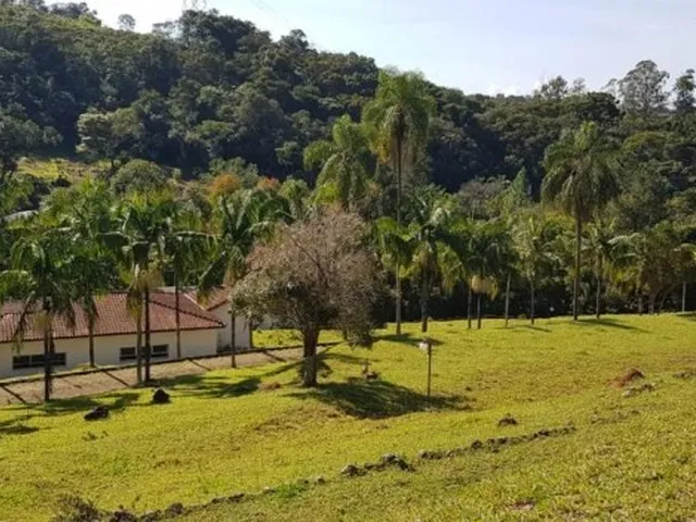 Imagem 3: Lindo Sítio em Piracaia 8 Alqueires