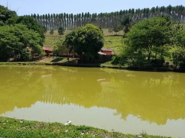 Imagem: Fazenda em Piracaia com 21 alqueires