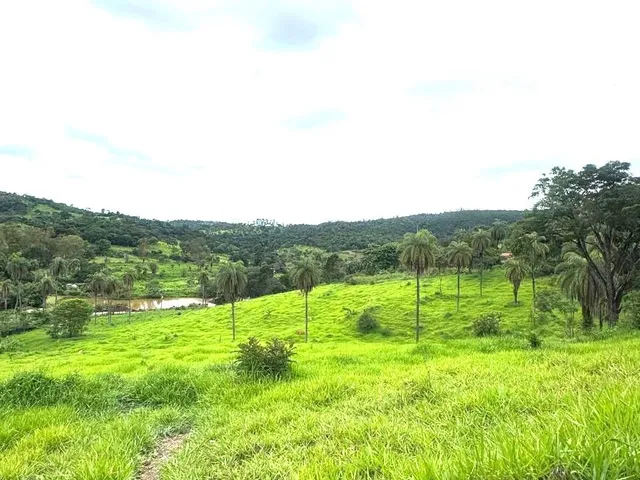 Imagem 2: Chácaras de 5 mil m2 à Venda em Mateus Leme - MG